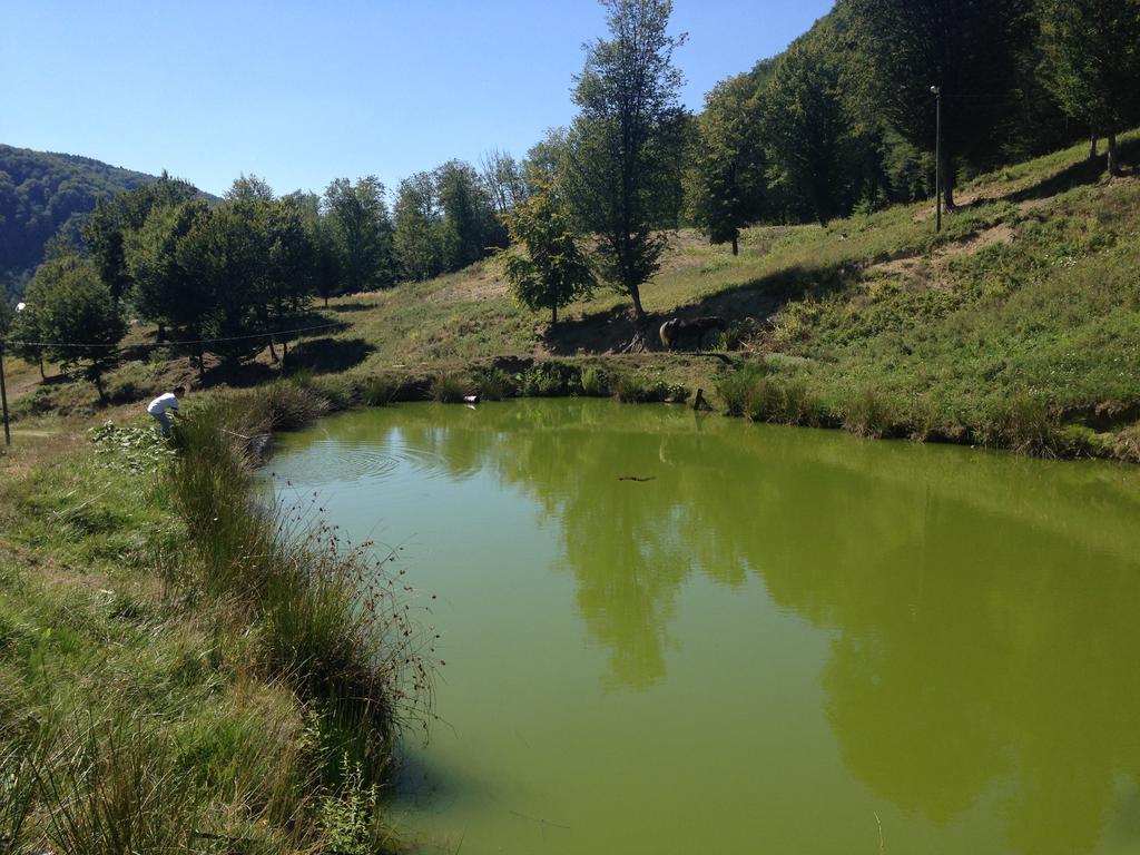 Pensiunea Poiana Verde سلانيك مولدوفا المظهر الخارجي الصورة
